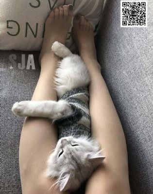 91视频高清
